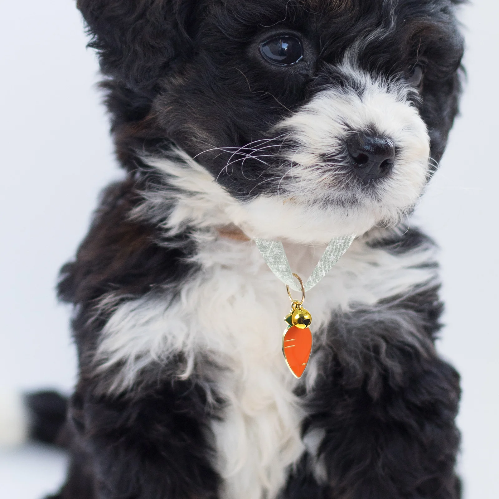 

For Cats Kitten Adjustable Decorative Cat With Bell Cute Outdoor Daily Wear Party Wedding Gift Cartoon Dog Adorable