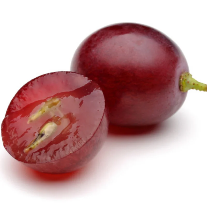 

Props Adapter Thread Blade 5MM/6MM/8MM Shaft Folding Propeller Clip for RC Airplane Racing Drone Fixed-wing DIY Accessorie