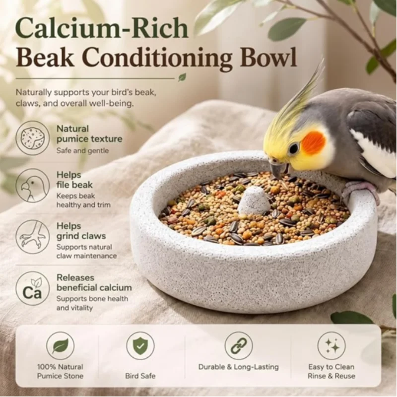Parrot Volcanic Rock Feeding Bowl Splash Proof Feeder Pumice Stone Nail Beak Grinding Calcium Supplement Food Water Pet Supplies