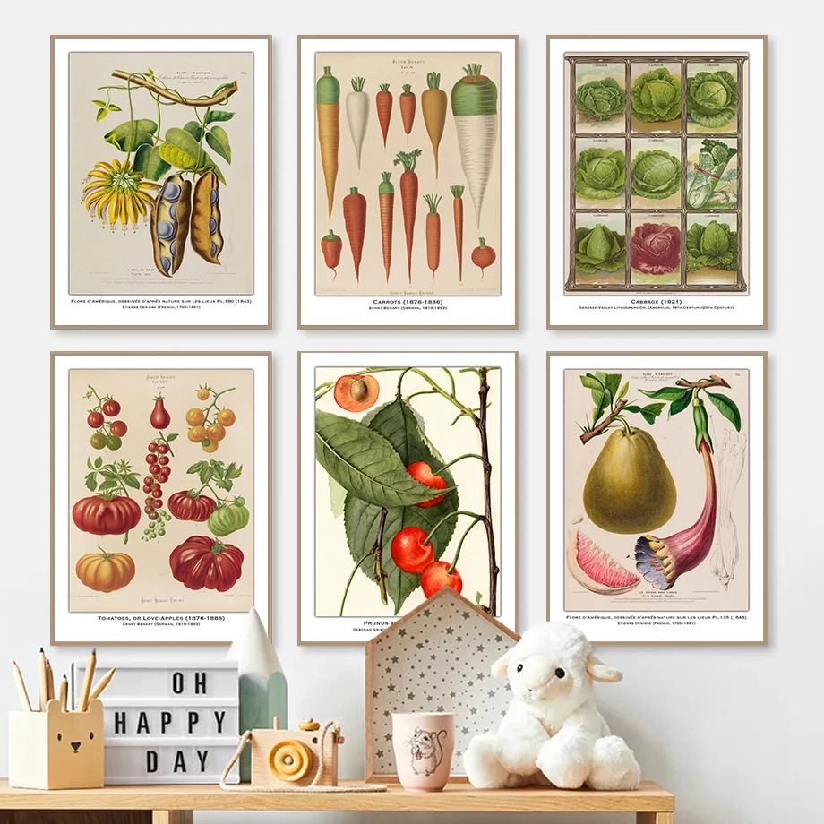 Vintage Vegetables Fruits Botanical Study Illustration Poster Cabbage Radish Prints Canvas Painting Wall Picture Home Room Decor