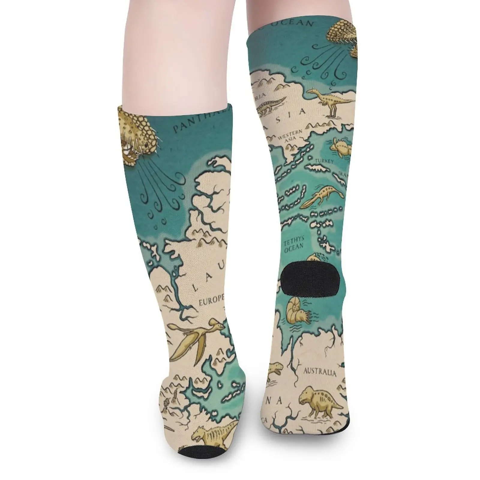 Vintage Map Socks Autumn Supercontinent Pangaea Stockings Fashion Couple Breathable Socks Design Sports Anti Bacterial Socks