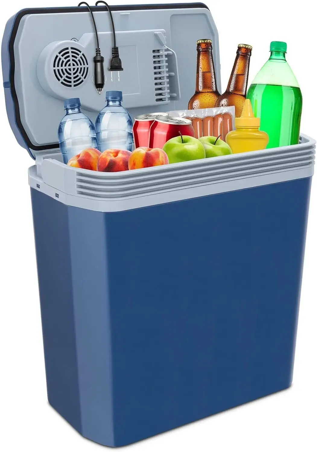 Electric Cooler Warmer with Handle 24 L Portable Thermoelectric Fridge 110V AC Home Power Cord & 12V Car Adapter