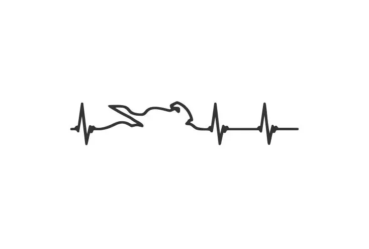 Heart Electrocardiogram of Race Players Car Sticker KK Decal AccessoriesCar Styling Cover Scratches Motorcycl