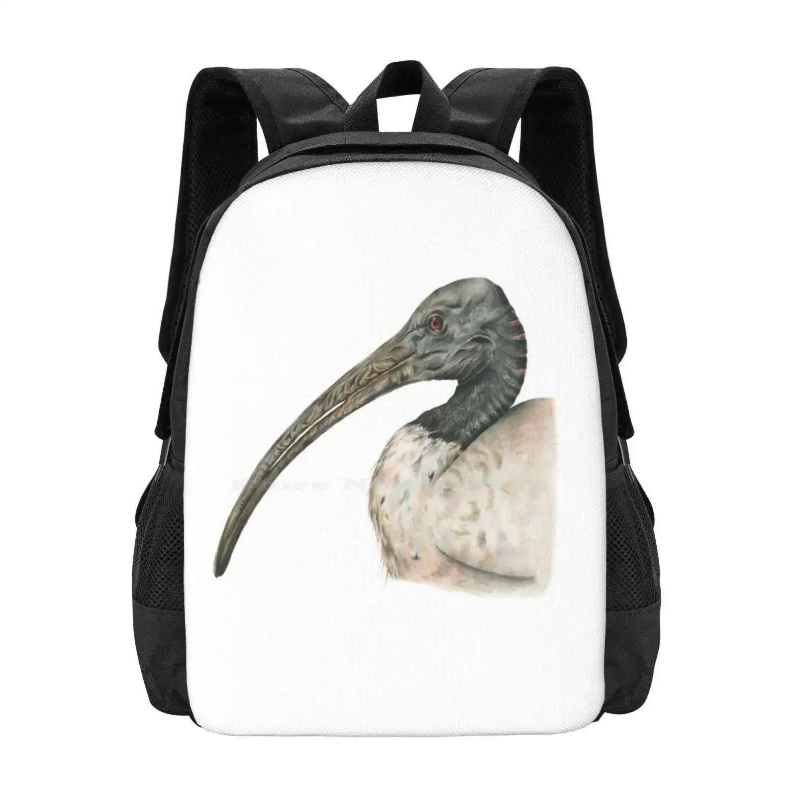 

Australian White Ibis Hot Sale Schoolbag Backpack Fashion Bags Artist Australia Newcastle Naturalhistoryillustration
