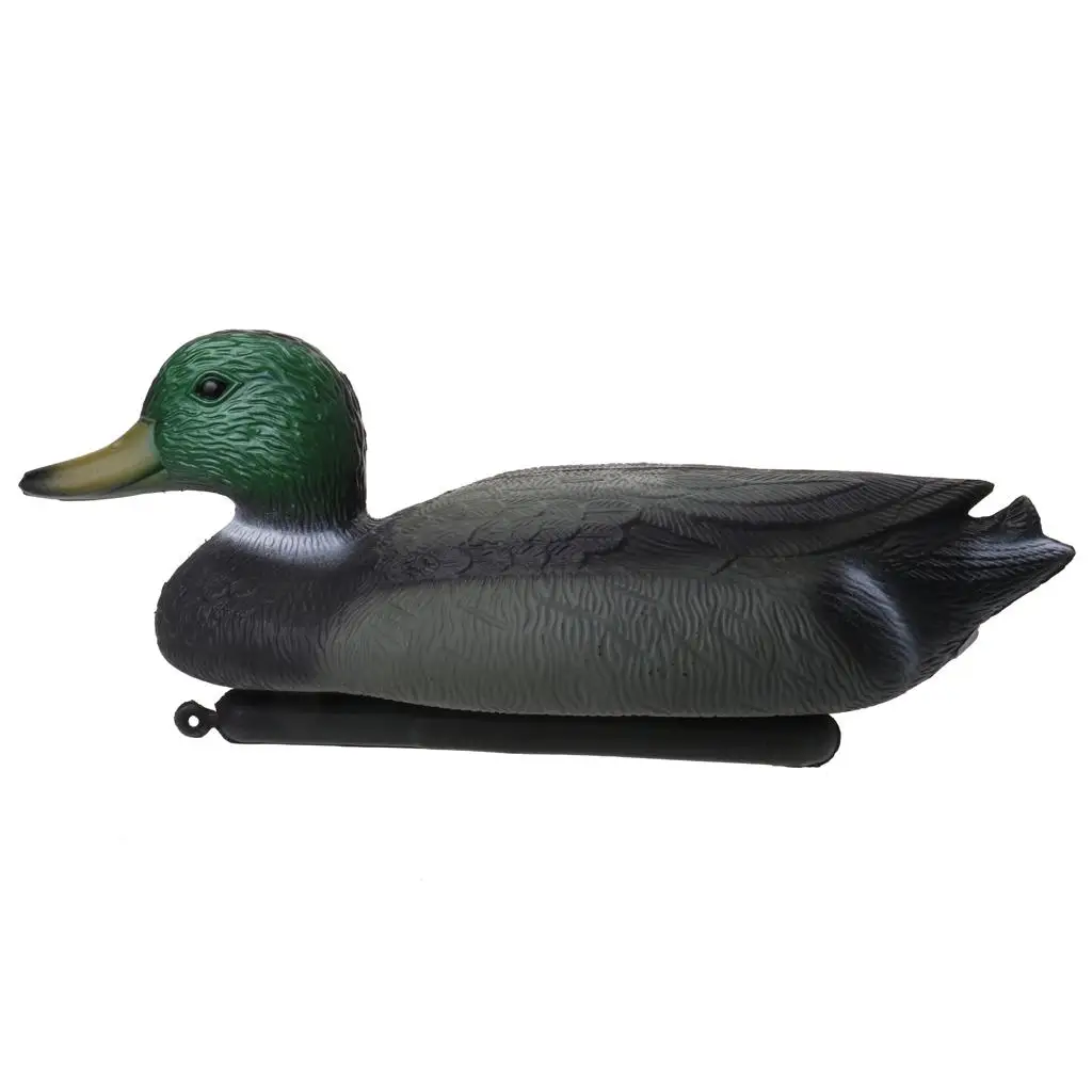 PE Material Floating Duck Decoys Lifelike Male Drake Hunting Model for Duck Shooting and Game Fishing