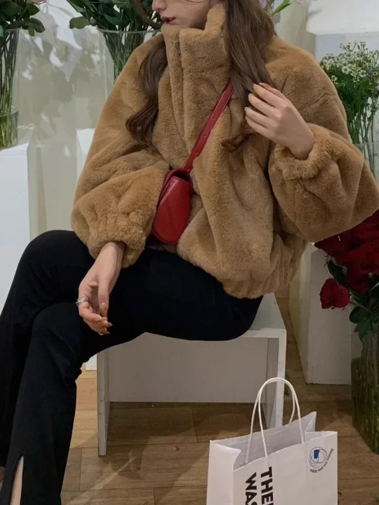 2024 Winter Warm Faux Fur Coat Women Korean Fashion Casual Zipper Faux Lamb Coat Autumn Streetwear Vintage Brown Outerwear New