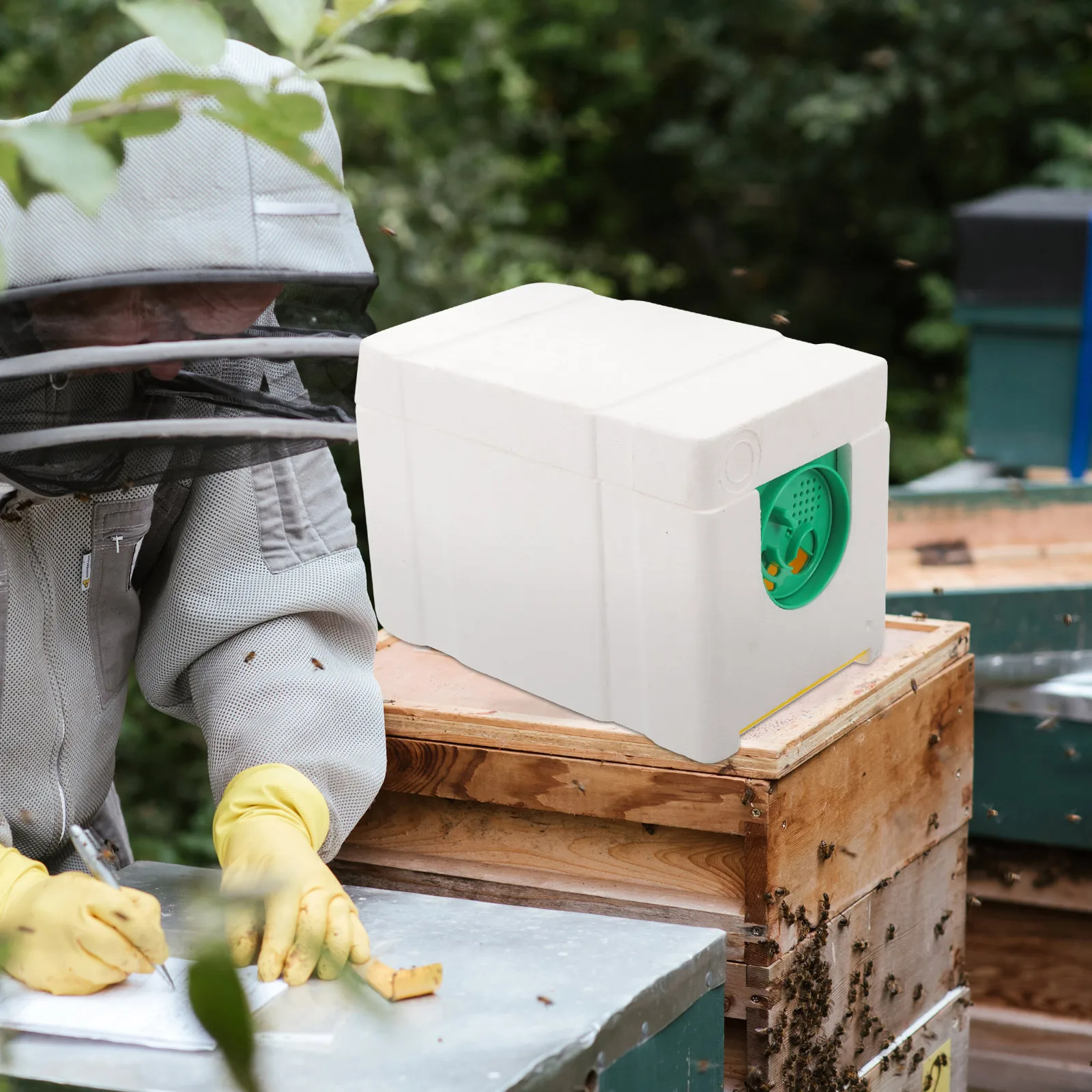 

Rearing Beehive Pollination Box Plastic Boxes Honeycomb Tool Beekeeping Beehives