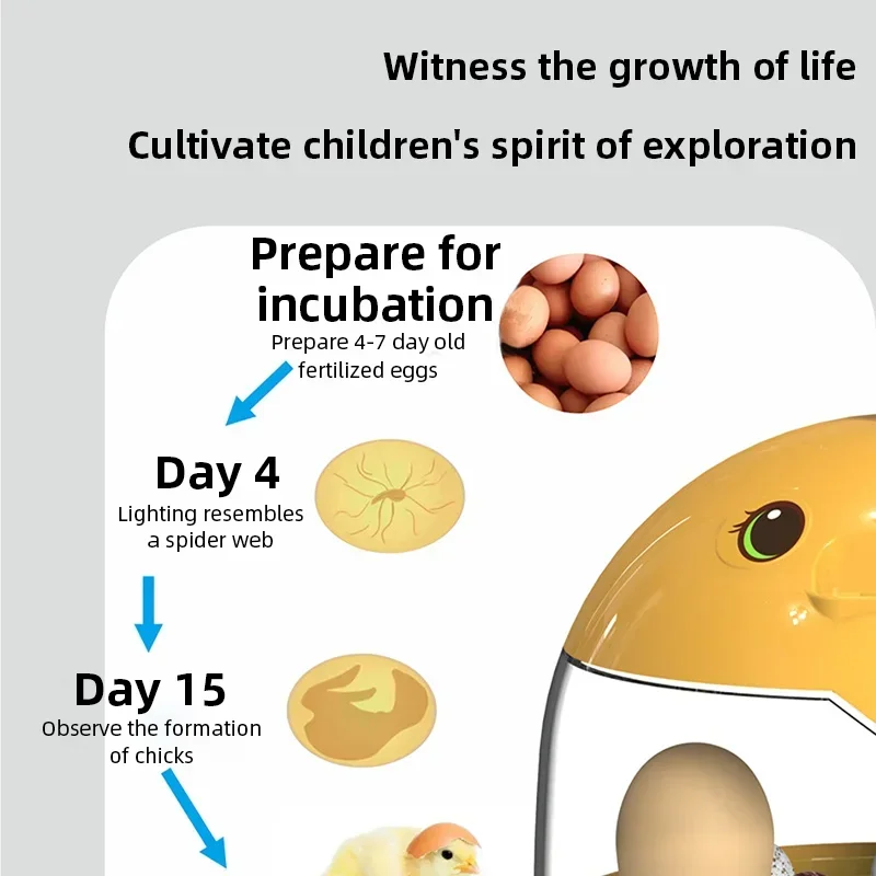 Mini Automatic Egg Incubator Poultry Hatcher for Chicken Bird Eggs Small Home Farming Hatching Equipment