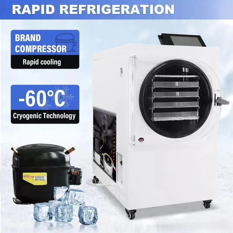 Liofilizador Liofilizado al vacío Frutas Verduras Hogar Inteligente Pequeño Secador de alimentos de laboratorio