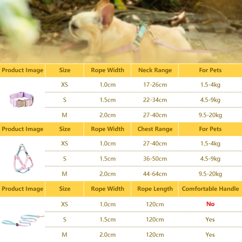 Pet Shop All Bulldog Frances Puppy Choker Collar Dog Leash Breastplates Lead Set Harness No Pull Pets Accessories for Small Dogs