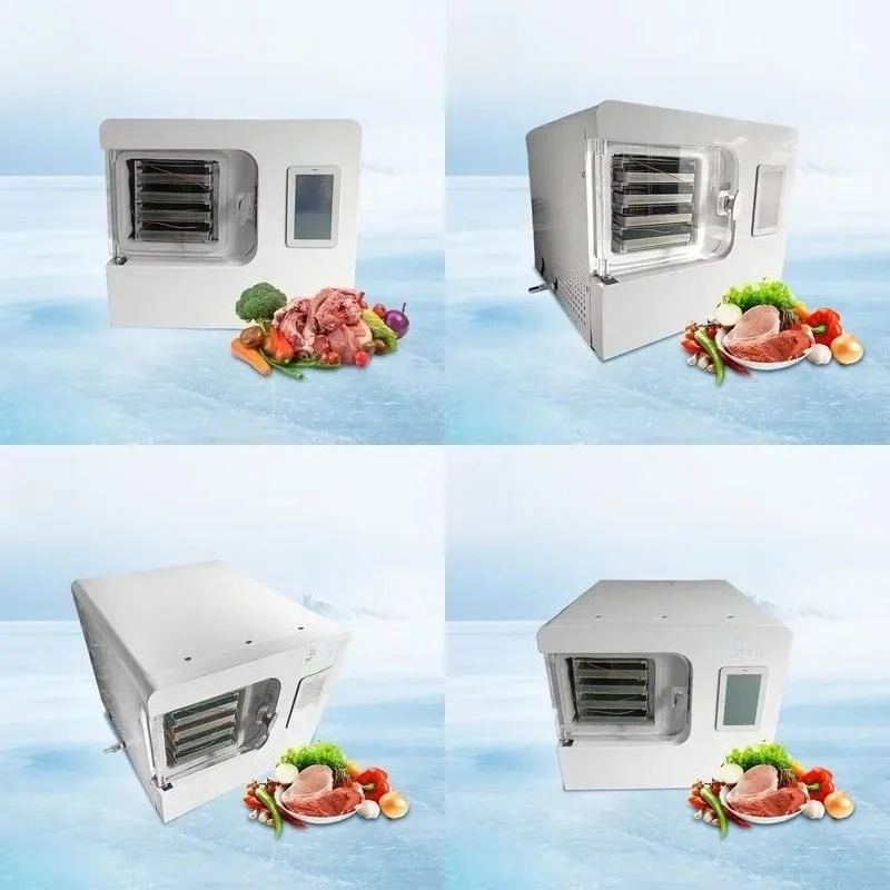Household Vacuum Freeze Dryer for Meat Fruit Vegetables 4kg 6kg 8kg 10kg 15kg Capacity Small Home Use