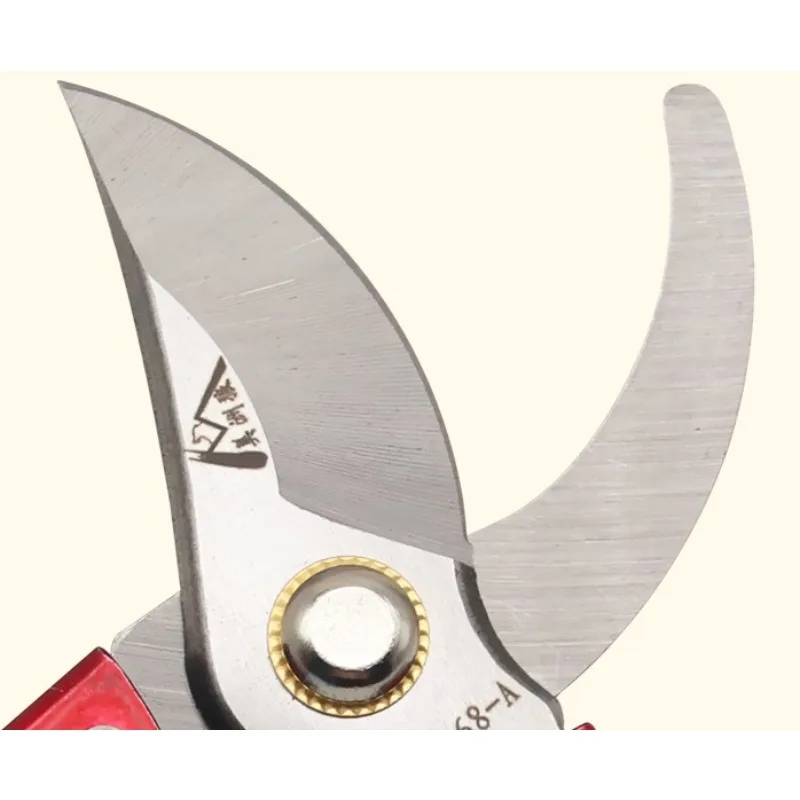 

Suitable for Repairing Sheep's Hooves, Sheep's Scissors, Hoof Repair Pliers, and Hoof Repair Knives