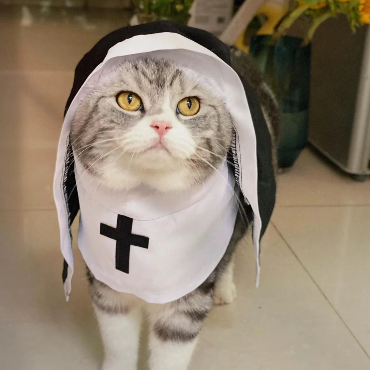 Small repair cat hoodie, pet nun clothing, hooded scarf, funny cat transformation clothing, British short clothing