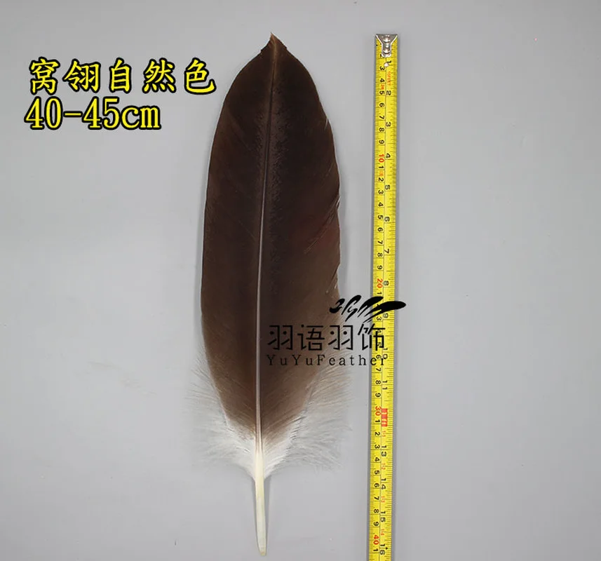 Rare Eagle Feather Natural Rare Horse Eagle Feather Household Flower Arrangement Decorative Feather Home Dec