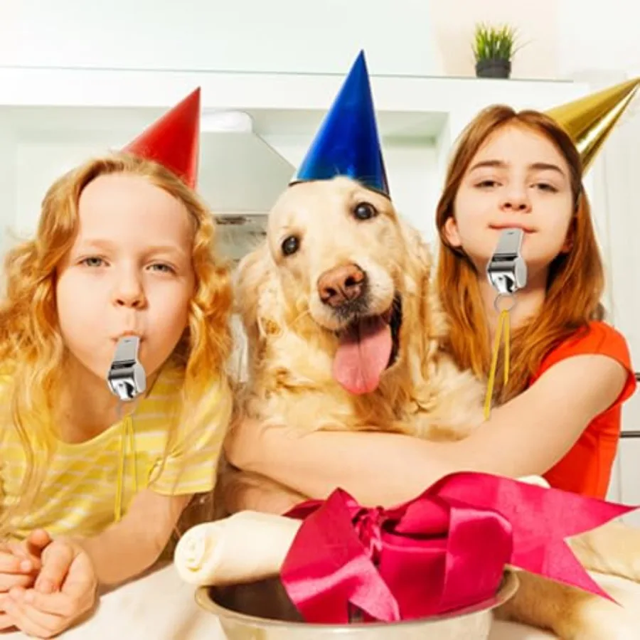 24 قطعة من صفارات الرياضة المصنوعة من الفولاذ المقاوم للصدأ مع صفارات صوتية عالية الحبل رائعة للمدربين والحكام المسؤولين #6