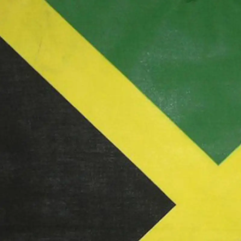 10pcs Jamaica Flag Dance Discles العصابات العصرية لأداء الشوارع F3MD