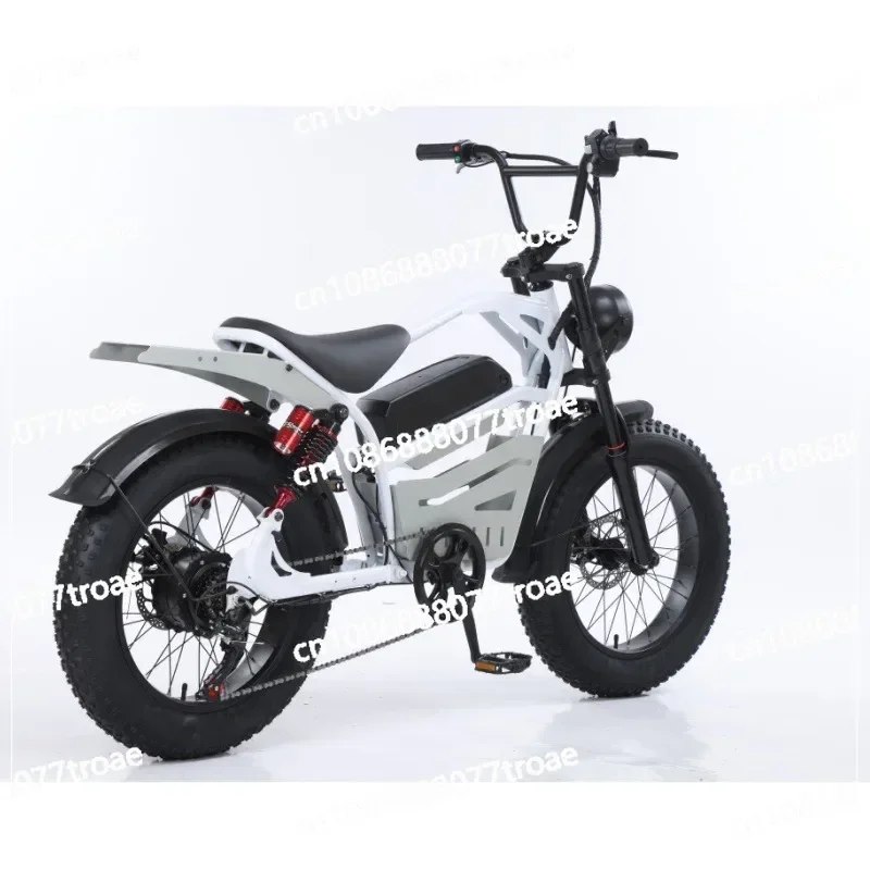 20 inch car with shock absorber, pedal assisted bicycle, single person electric scooter