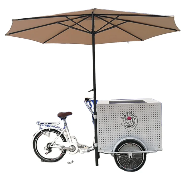 

Pedal Electric Bicycles Motor Motorized Tricycles Cargo Adult Tricycle Food Cart Refrigerator Ice Cream Food Bike For Sale