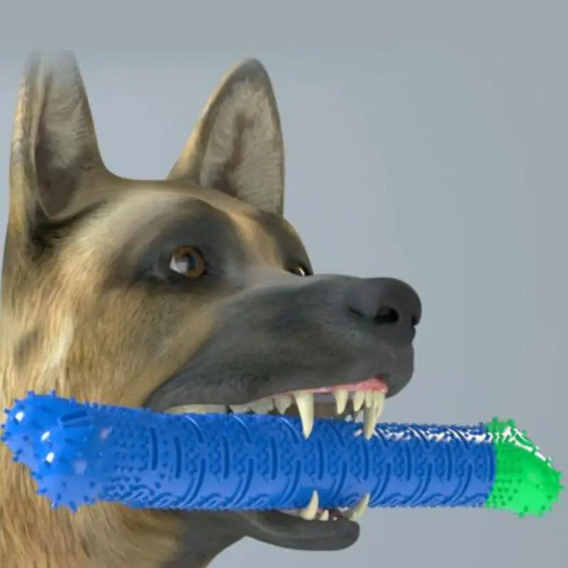 Chew Resistant Dog Toy Bone Removable Teeth Toothbrush for Teeth Clean