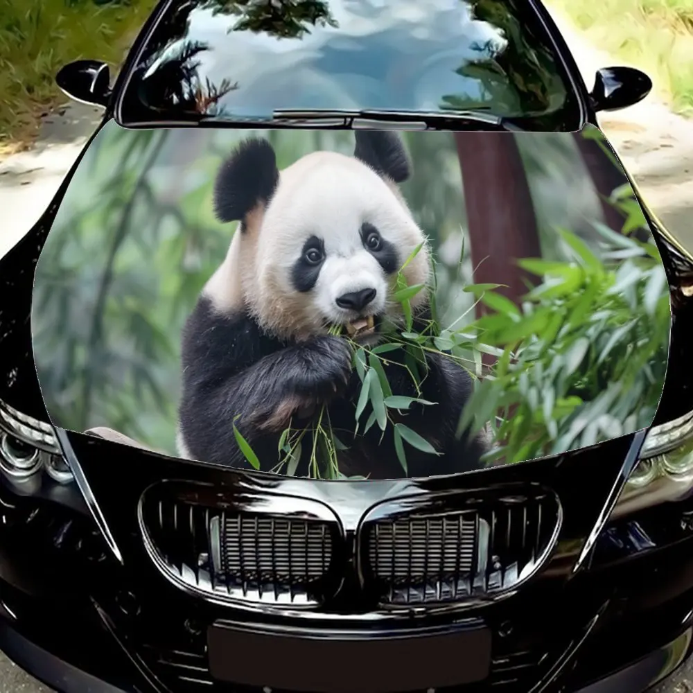 Animal Panda Eating Bamboo Car Hood Wrap Color Vinyl Sticker Truck Graphic Bonnet DIY Auto Accessories Decoration Decal Gift