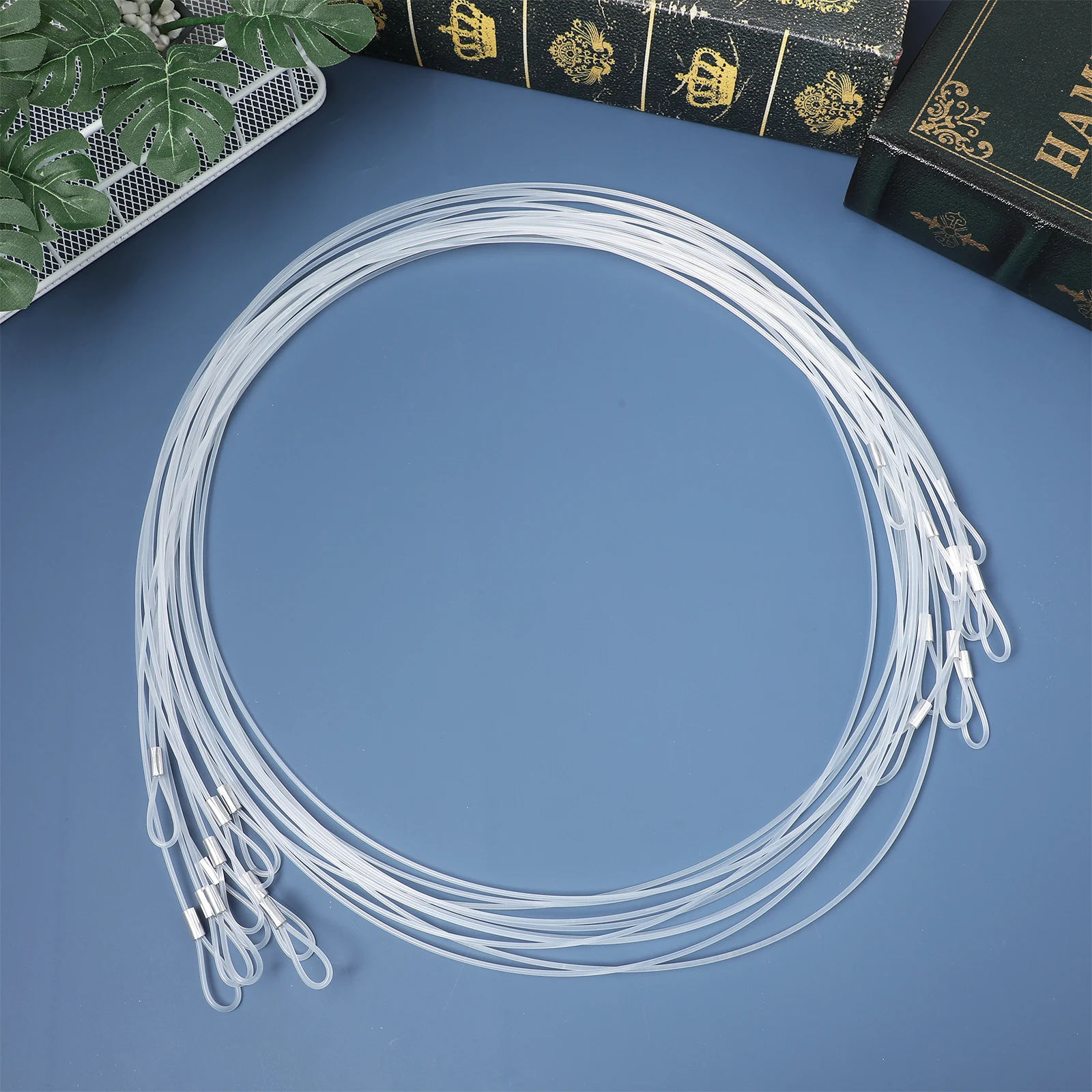 

12pcs Nylon Rope Clear Hanging Cord Heavy Duty Picture Wire Frames Lamps Clothes Canvas Hanging Kit Invisible String