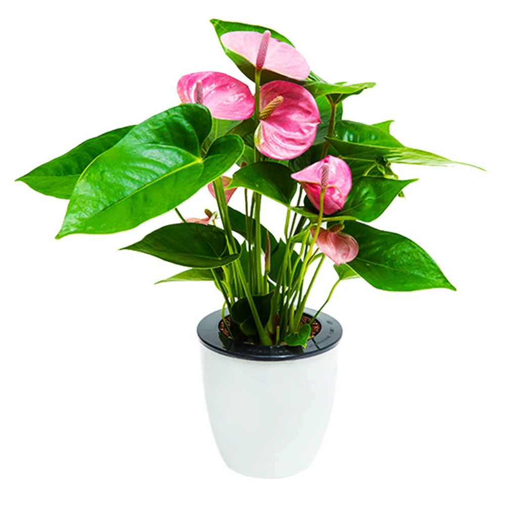 Self Watering Flowerpot Automatic Water Absorption Succulent Aquaculture Water Absorbing Flowerpot Water Storage Pot
