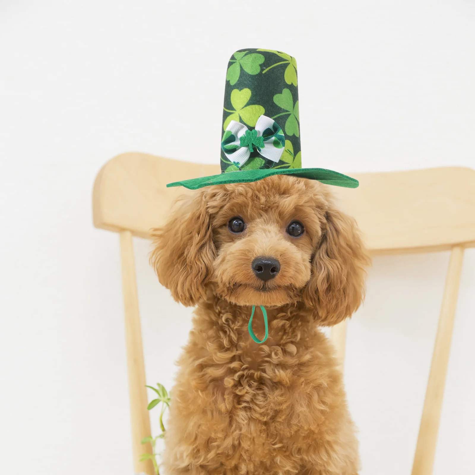 Pet Hat Dog Party Hats Puppy Cosplay St Patrick's Day Costume Cap and Gown Graduation Four Leaf Small