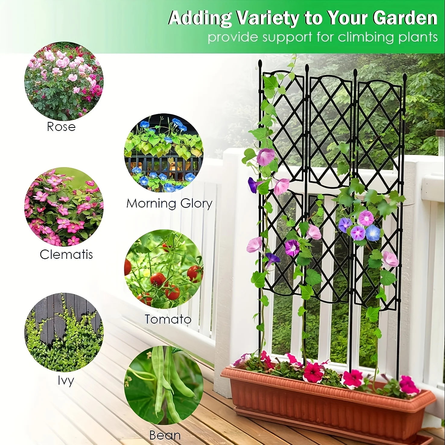 Garden Trellis for Climbing Plants, Deaunbr Plant Support Obelisk Trellis Garden Trellises for Vines, Flowers Stands