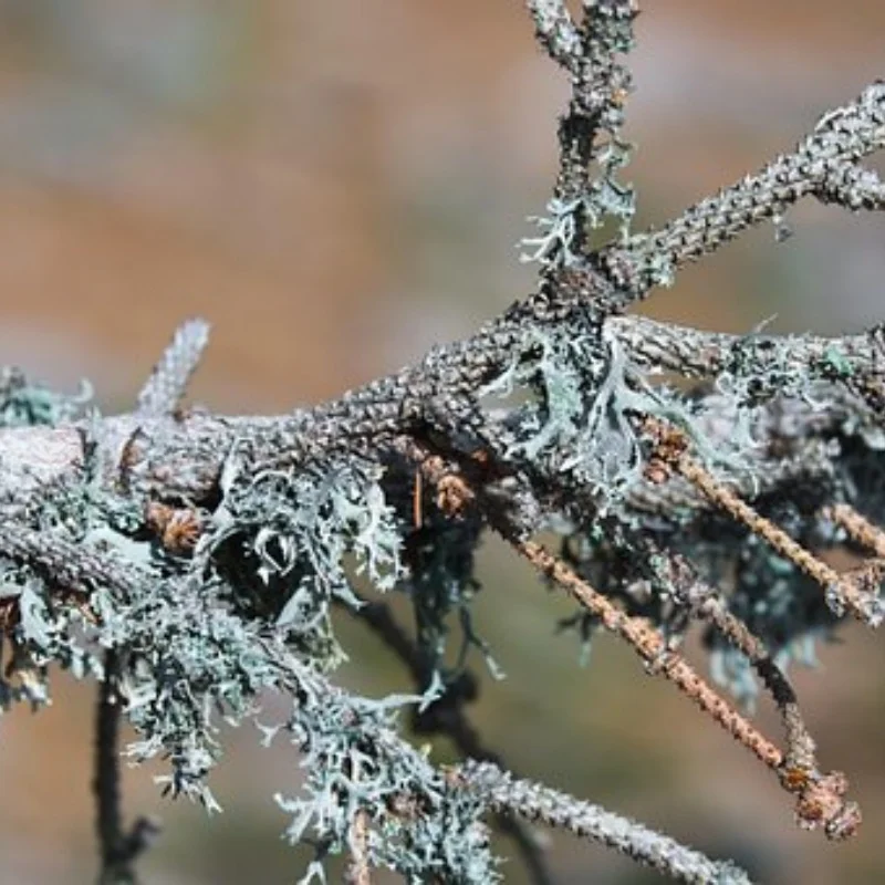 

1 комплект высококачественных алюминиевых шестерен для 2-скоростной смены коробки передач для WPL B1 B24 B16 B36 C24 1/16 4WD 6WD RC Автозапчасти