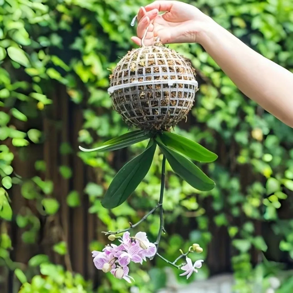 5Pcs Reusable Empty Porous Suspension Ball Plastic Diameter 80/100/150mm Hanging Planter Balls Transparent Hollowed