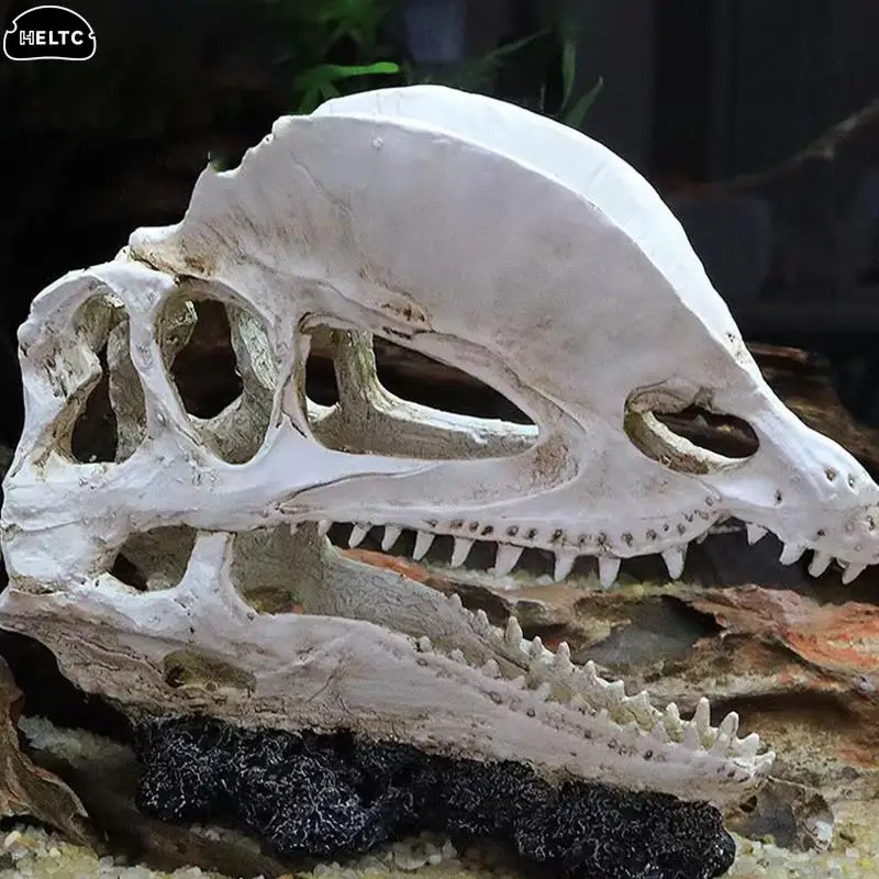 1pc Resin Dinosaur Skull Artificial Ornament Fish Tank Aquarium Decorations Cave Landscape Pet Reptile House Aquarium Home Decor