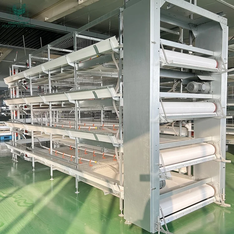 

Современная птицеферма Hightop Design: Металлическая клетка для бройлеров H-типа с ручным и автоматическим управлением и ленточным навозоудалением