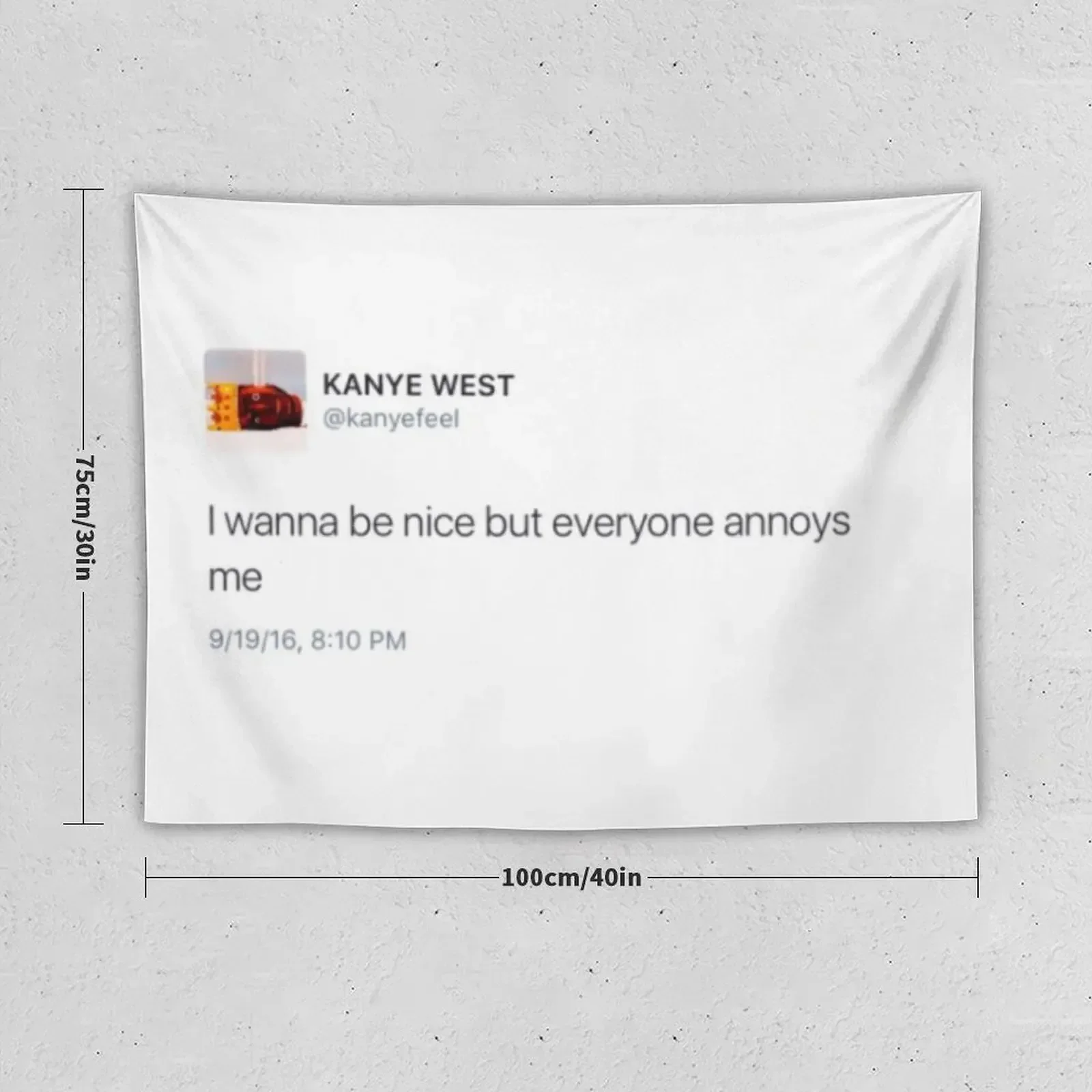 I wanna be nice but everyone annoys me, twitter, tweet, funny Tapestry Cute Room Decor Wall Art Tapestry