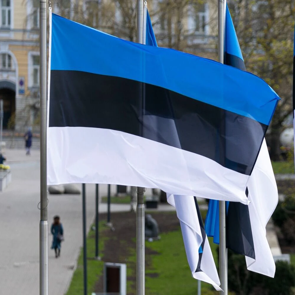 Флаг Эстонии 90x150 см, высококачественный полиэстер, национальный флаг Эстонии для украшения