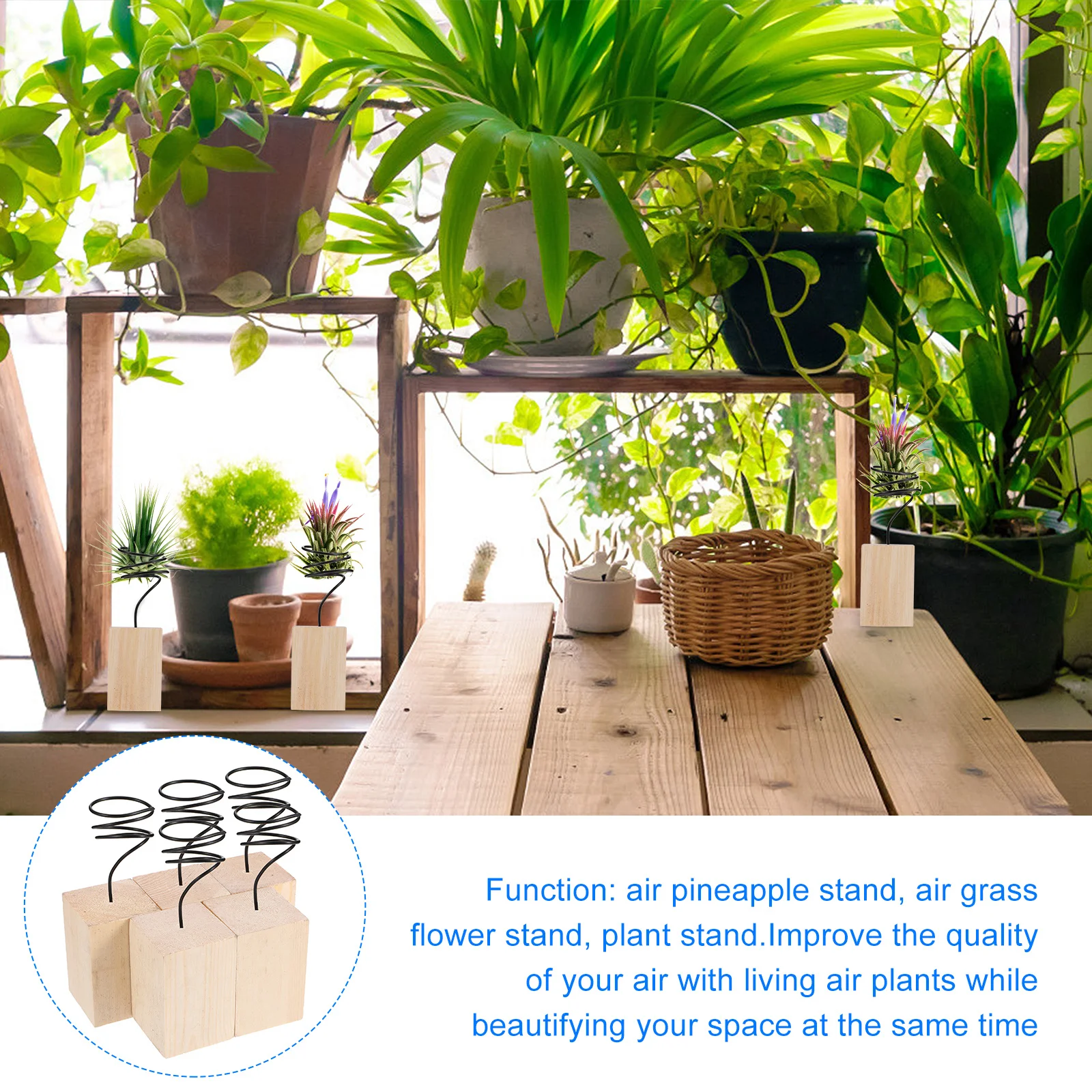 

5Pcs Plant Display Stand Holder Natural Desktop Planter for Home Office Decoration Gift Air Plant Stand