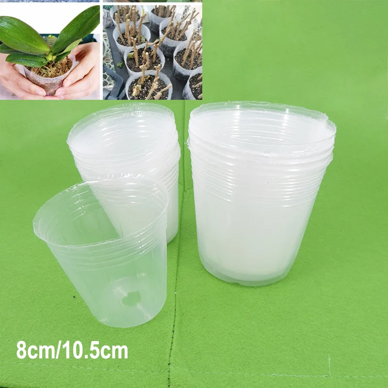 8cm 10cm Garden Transparency Nursery Pots Plastic Flowers Pot Planting grow Nutrition Cup for Orchid Propagation Container Bag o