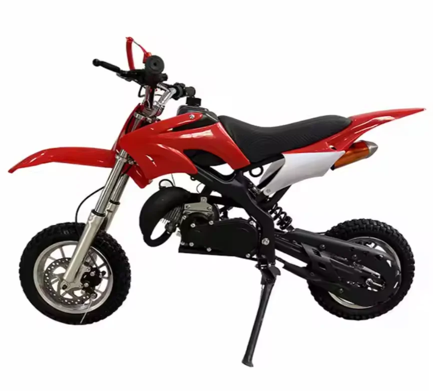49cc Single-Cylinder 2-Stroke Brushless Motor Off-Road Dirt Bike Quad for Kids with Hand Pull Start