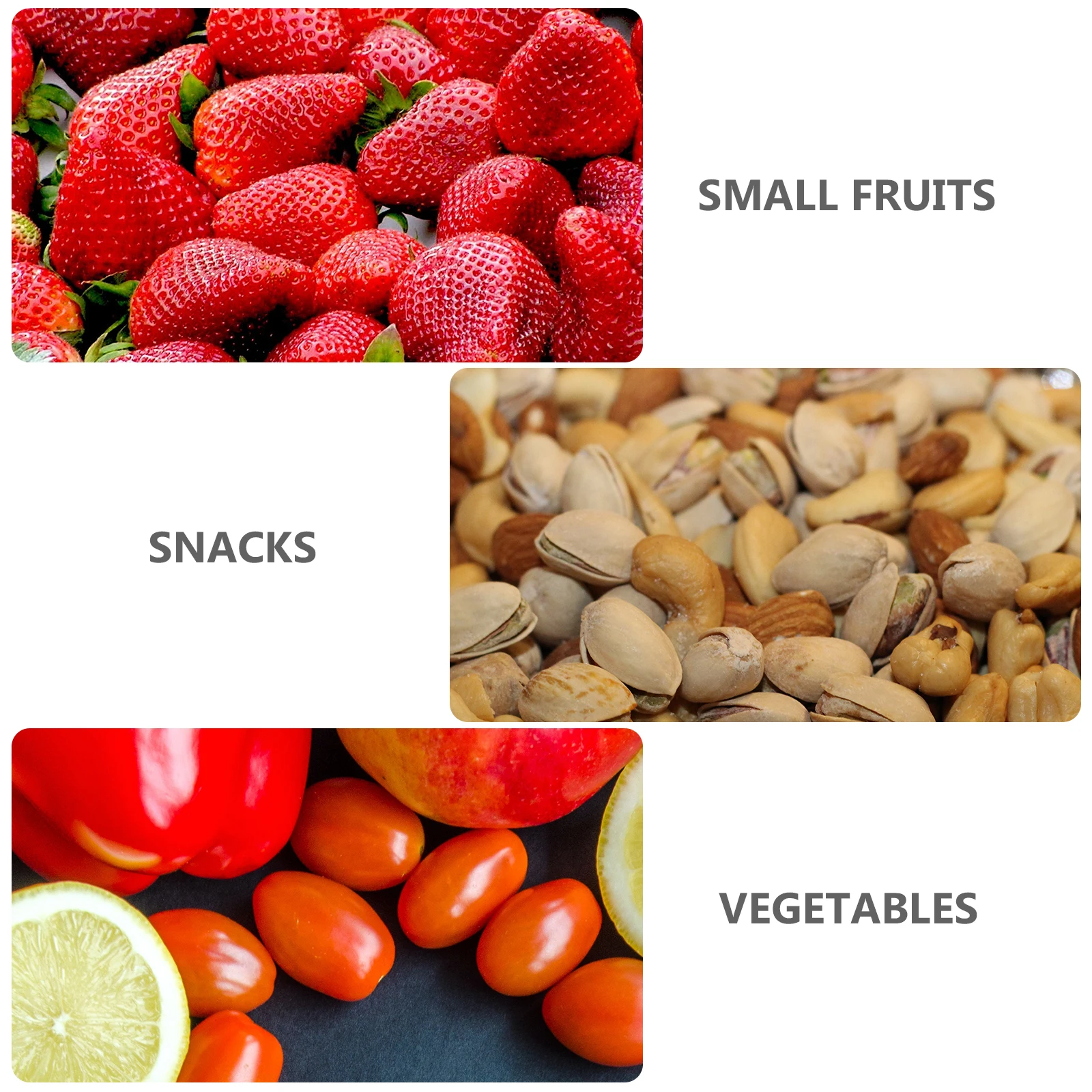 

6Pcs Mini Sealing Food Containers Keeping Box Reusable Freezer Storage Case for Fruits Vegetables Snacks Baby Food