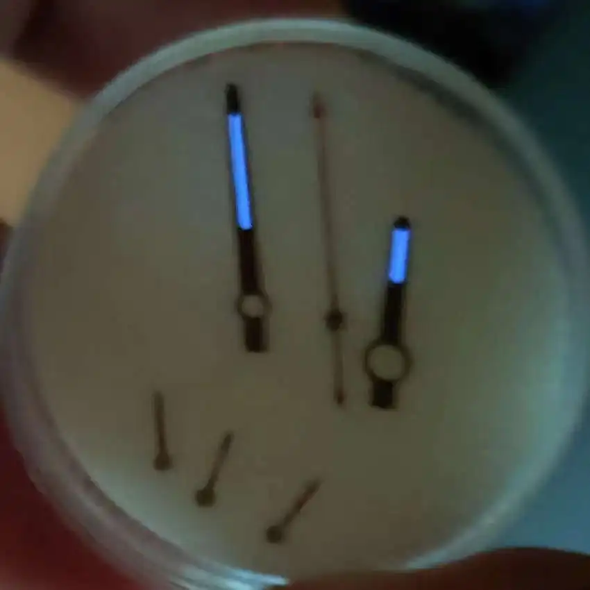 Watch accessories, watch hands, la.bor series 116500/02/03/05/08/09, watch hands, hour, minute, second with 7750 movement hands