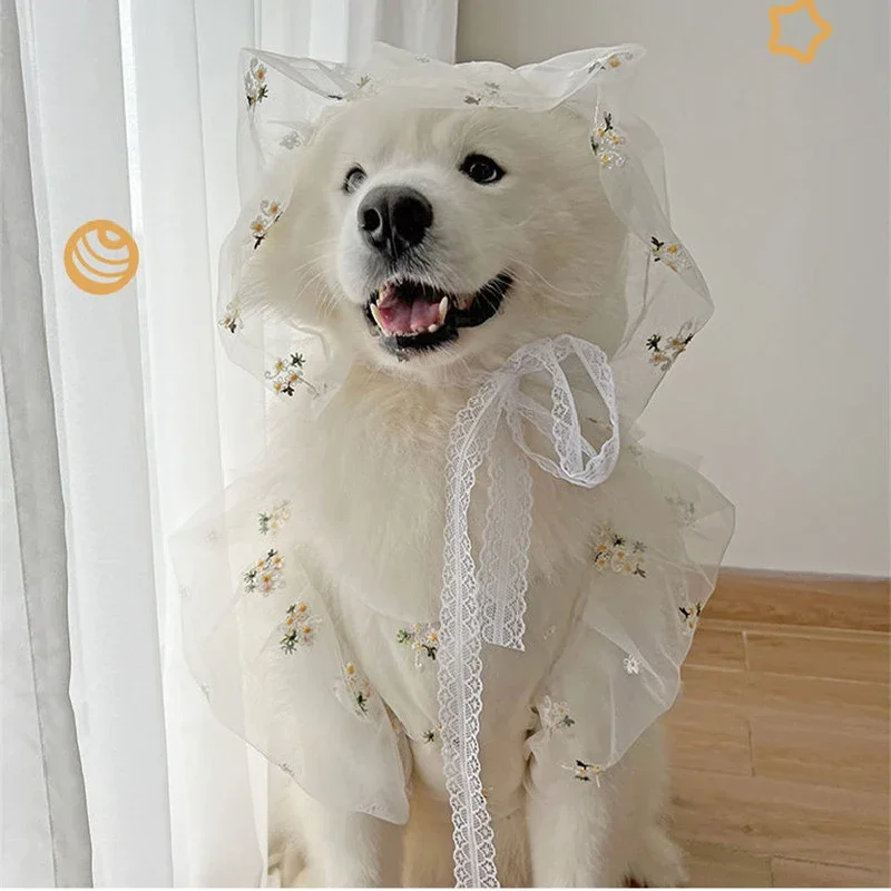 Big Dog Clothes Summer Large Dog Dress + Hat Poodle Schnauzer Corgi Samoyed Husky Labrador Golden Retriever Dog Clothing Skirt