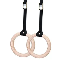 Birch Fitness Gymnastics Rings Anti-Slip Fitness Ring With Adjustable Cam Buckle Straps Home Gym Strength Training Equipment