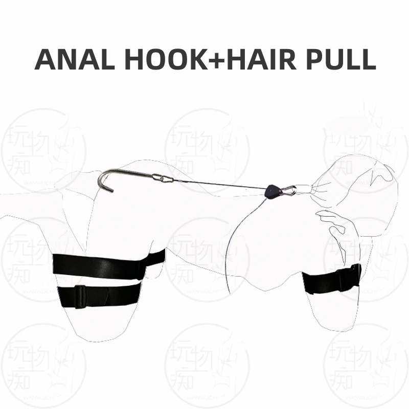 Metal Butt Plug Anal Hook Set With Collar Restraint Hair Pull