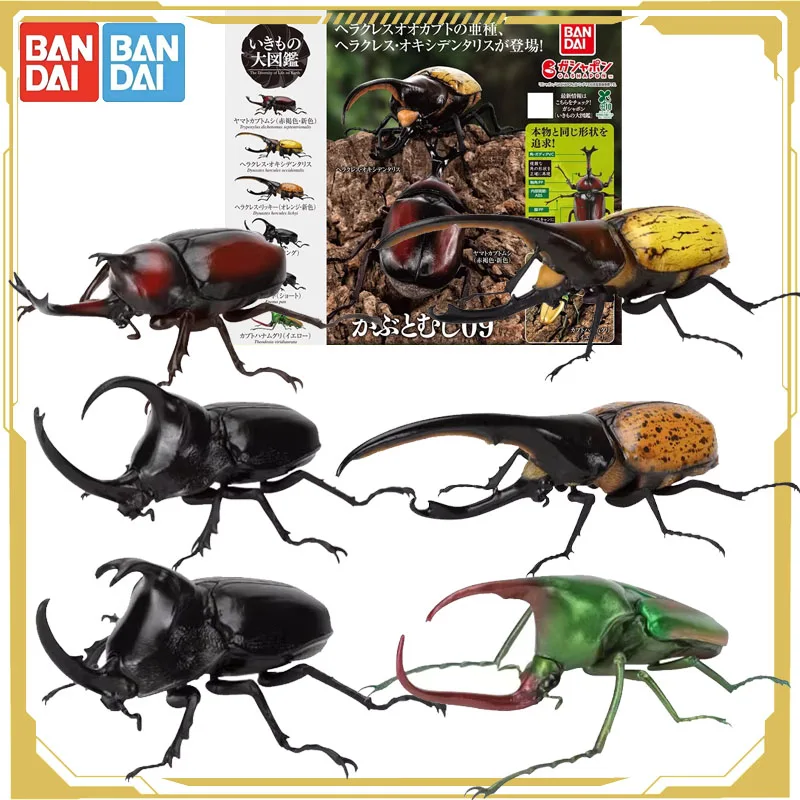 

Bandai Original Gashapon Biological Atlas Beetle 02 Model Decoration Action Figure Toys for Boys Girls Kids Gift Collectible