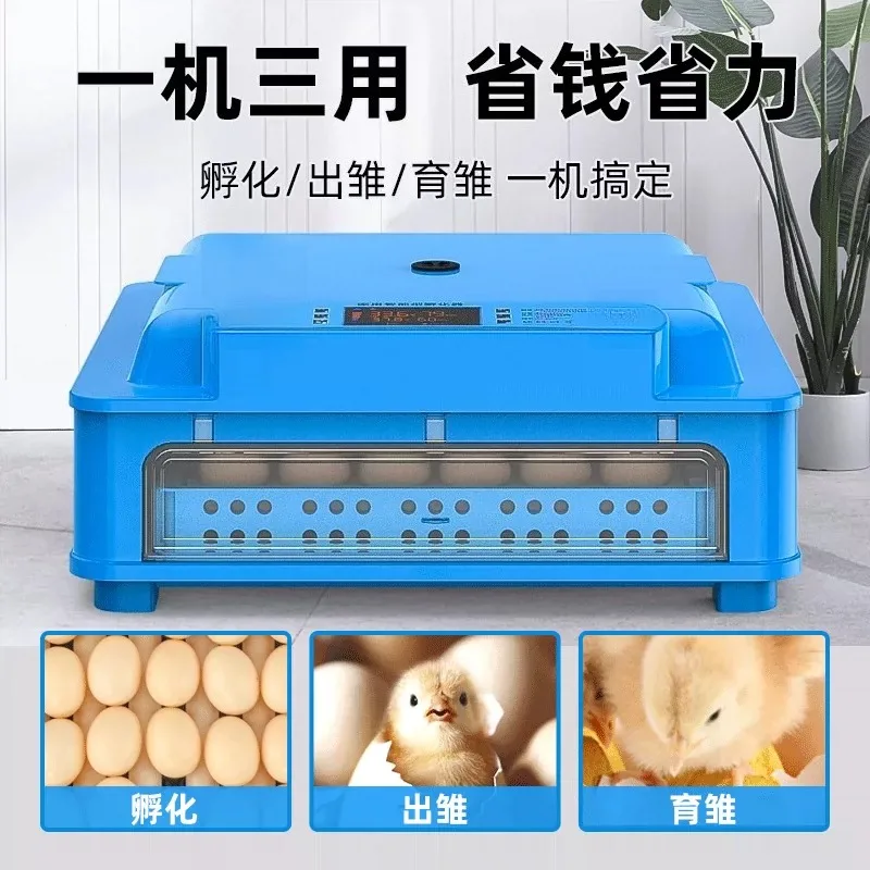Small Household Automatic Intelligent Incubator with Auto Water Refill  Egg Hatching Machine for Chicks
