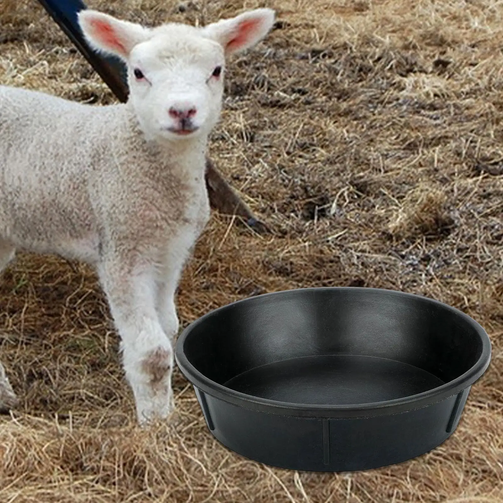 

Ведро для кормления лошадей, многофункциональное ведро для принадлежностей, контейнер для кормления, желоб для уличной фермы, задний двор, уличный ранчо