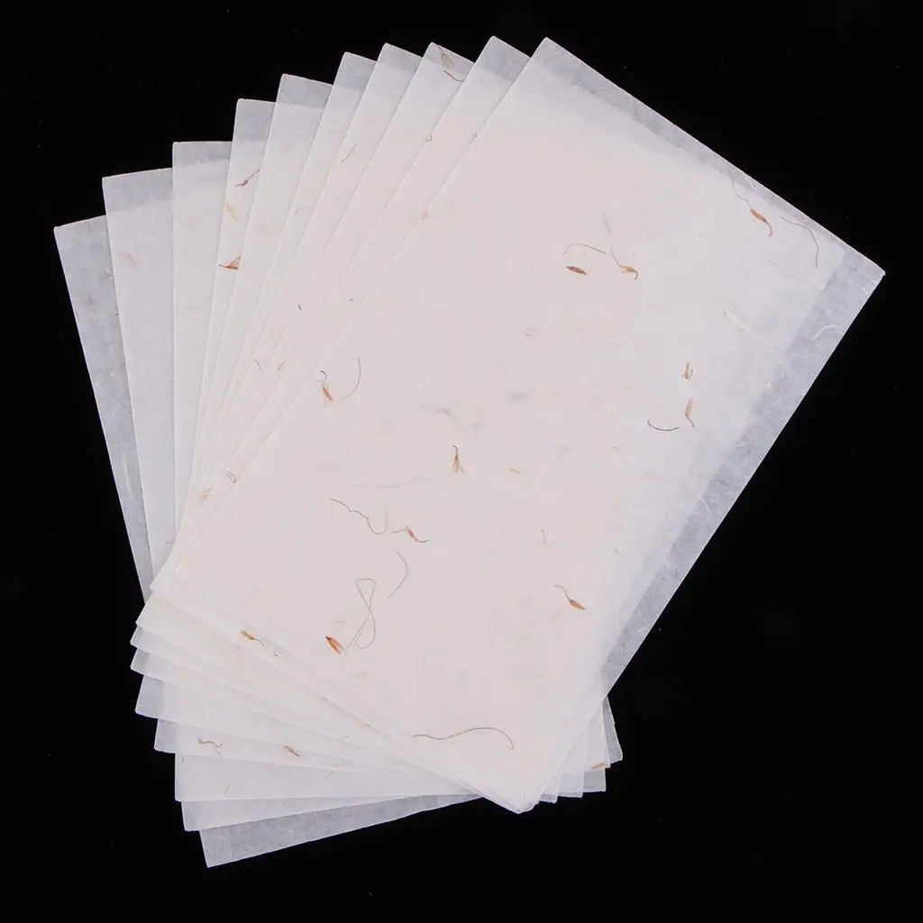 10Pcs Chinese Calligraphy Rice Paper Chinese Ink Painting Sumi Drawing Paper