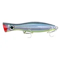 16CM-80G-02
