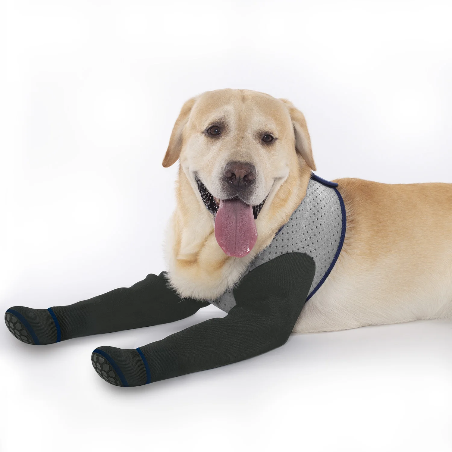 

Pet Dog Leg Socks Breathable Waterproof Anti-Licking Dog Paw Protector Soft Comfortable Fashion Print Front Legs Sleeve for Dogs