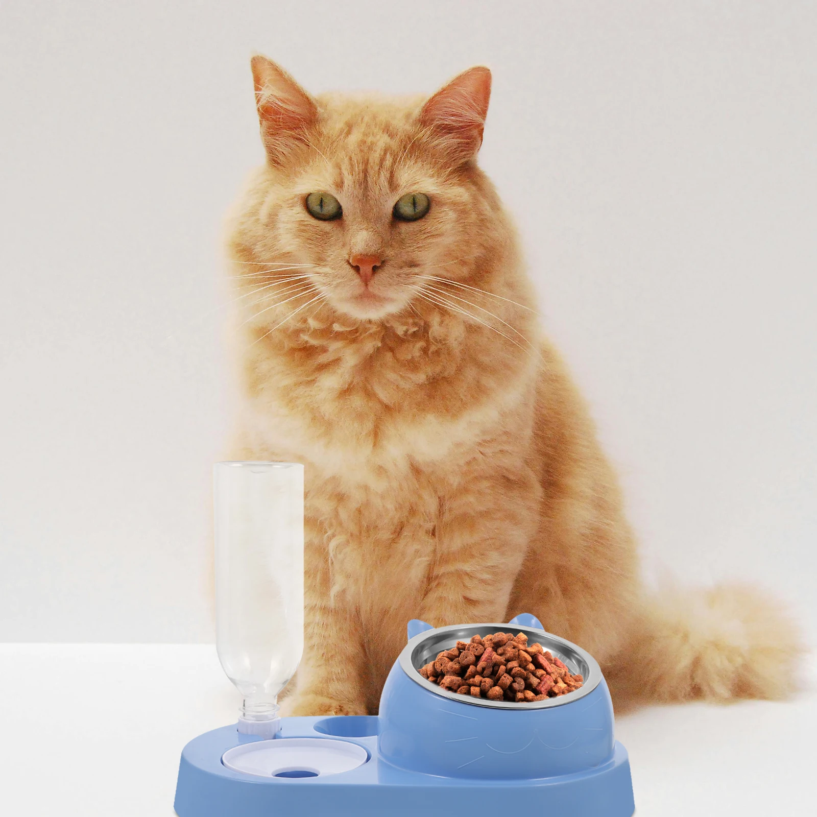 

Cat Bowl Dog Pet Drinking Pot Water and Food Rice Bowls Feeder Automatic Sky-blue Dish