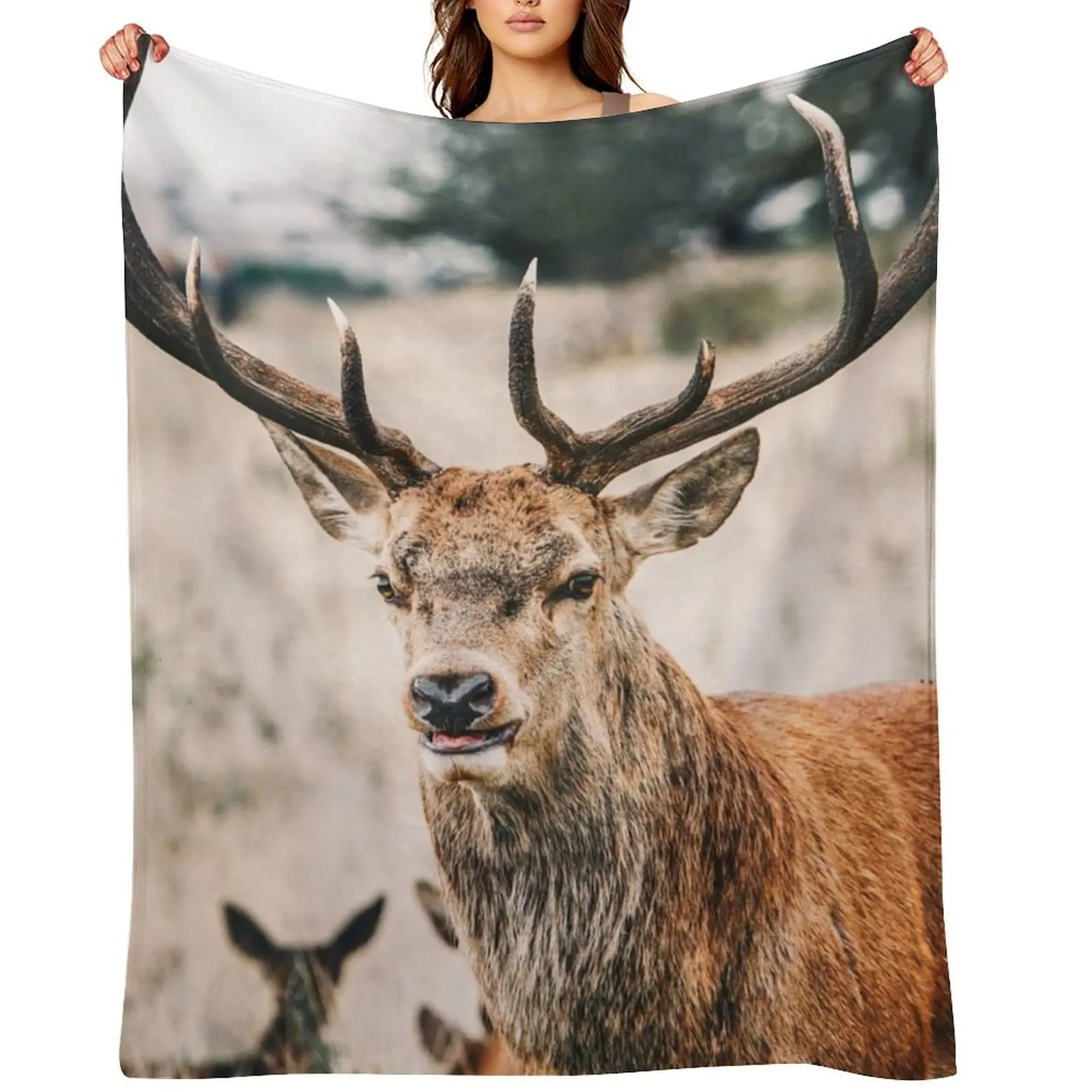 

The proud deer Throw Blanket Furrys Plush for sofa Soft Big Blankets